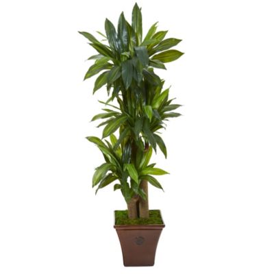 57-Inch Corn Stalk Dracaena Artificial Plant in Brown Planter (Real Touch)