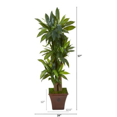 57-Inch Corn Stalk Dracaena Artificial Plant in Brown Planter (Real Touch)