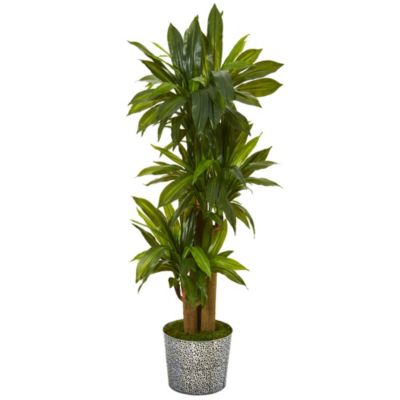 58-Inch Corn Stalk Dracaena Artificial Plant in Black Embossed Tin Planter (Real Touch)