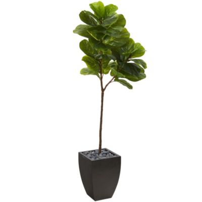 5.5-Foot Fiddle Leaf Artificial Tree in Black Planter (Real Touch)