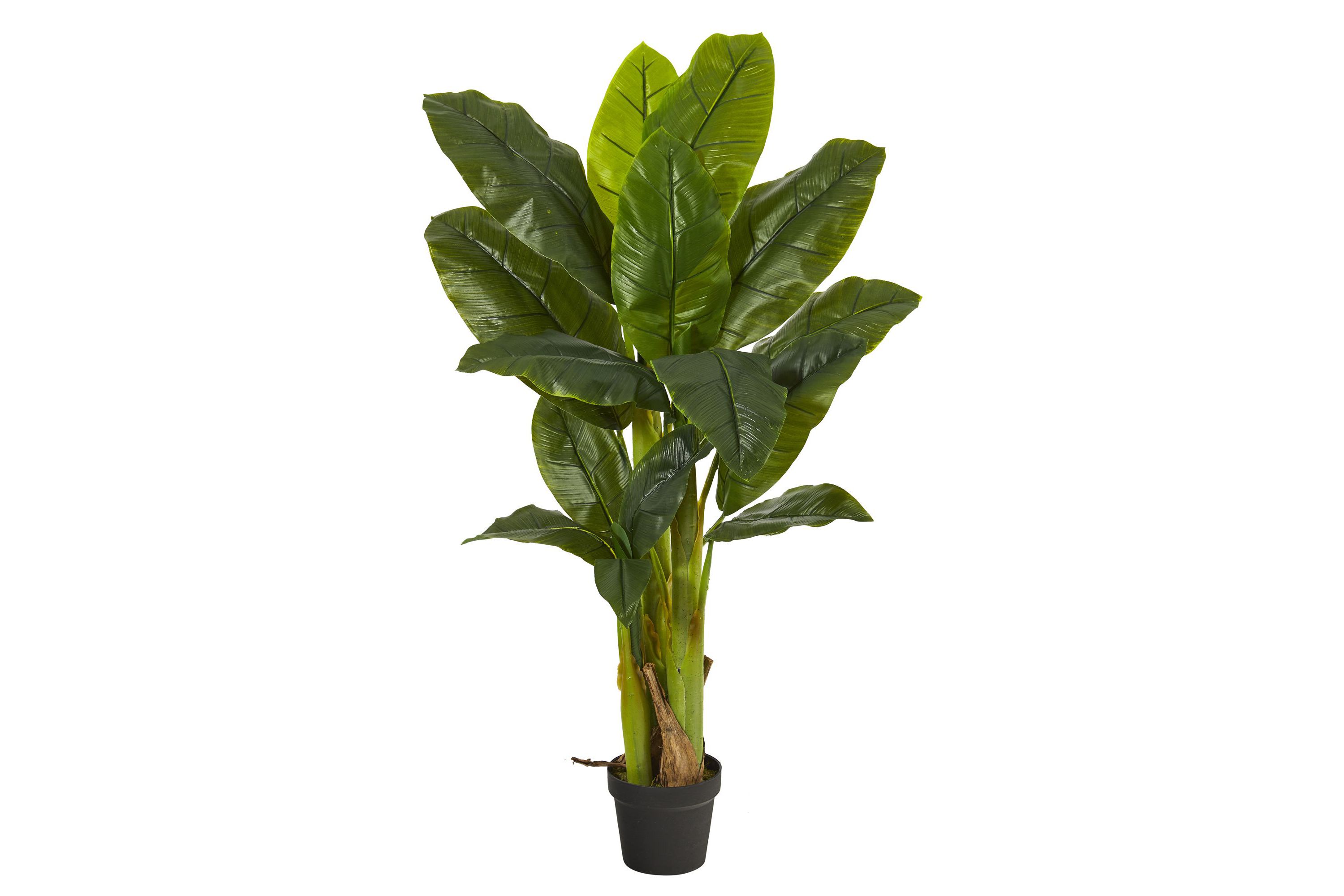 4-Foot Triple Stalk Banana Tree (Real Touch)