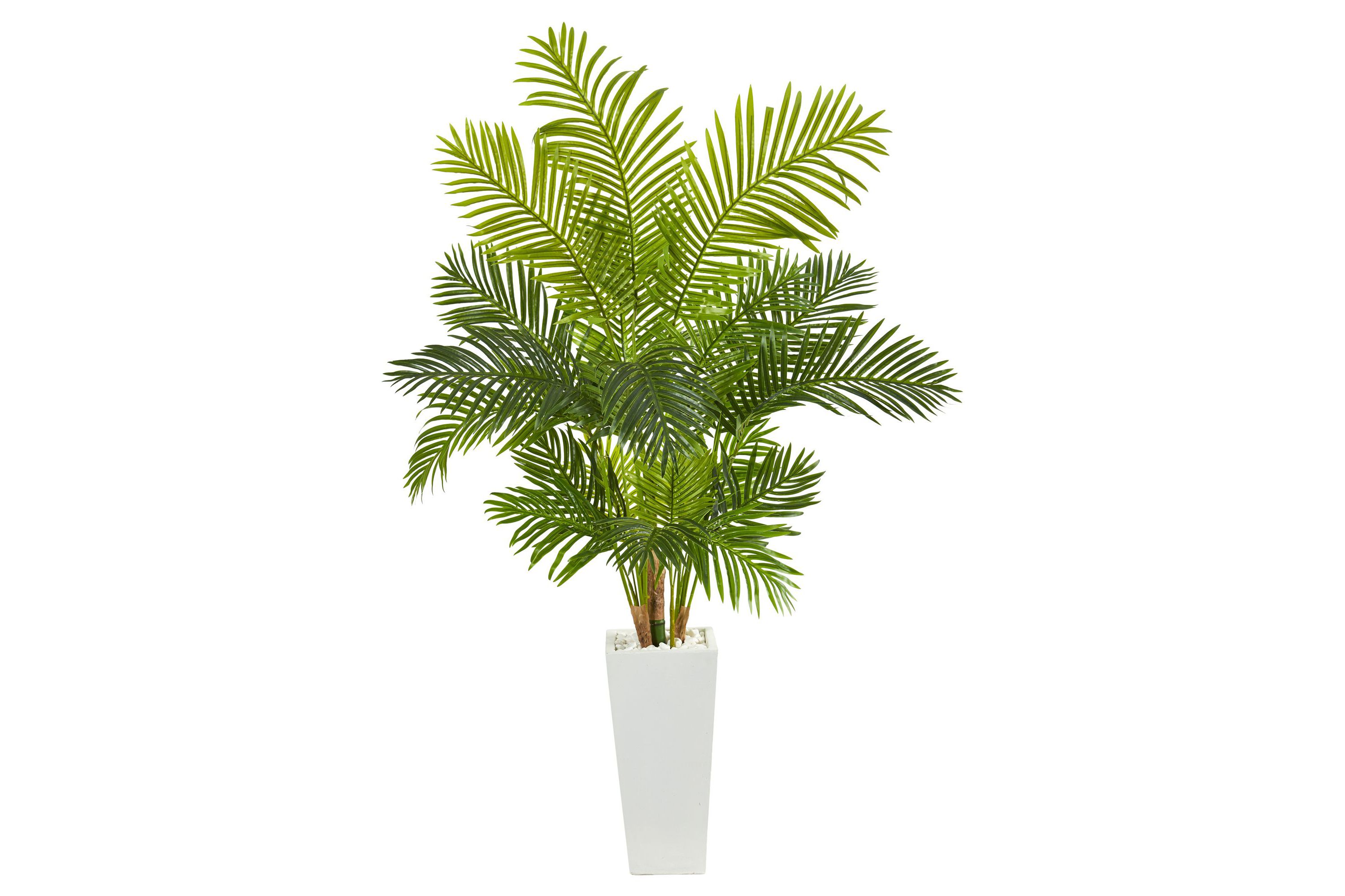 68-Inch Hawaii Palm Artificial Tree in Tall White Planter