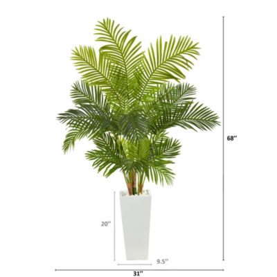 68-Inch Hawaii Palm Artificial Tree in Tall White Planter
