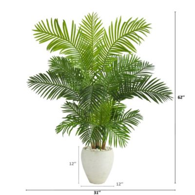 62-Inch Hawaii Palm Artificial Tree in White Planter