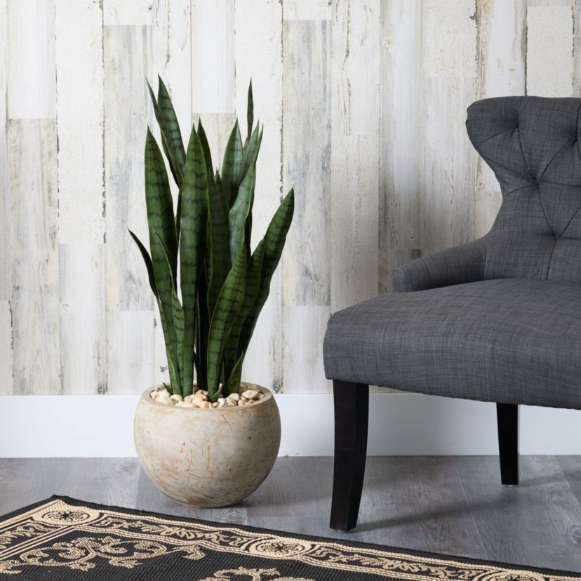 32-Inch Sansevieria Artificial Plant in Sand Colored Planter