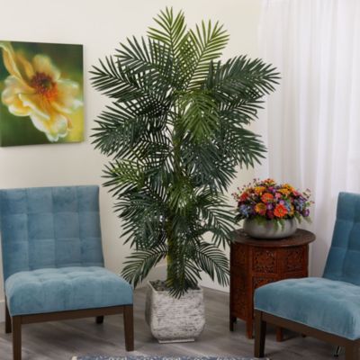 6.5-Foot Golden Cane Artificial Palm Tree in White Planter