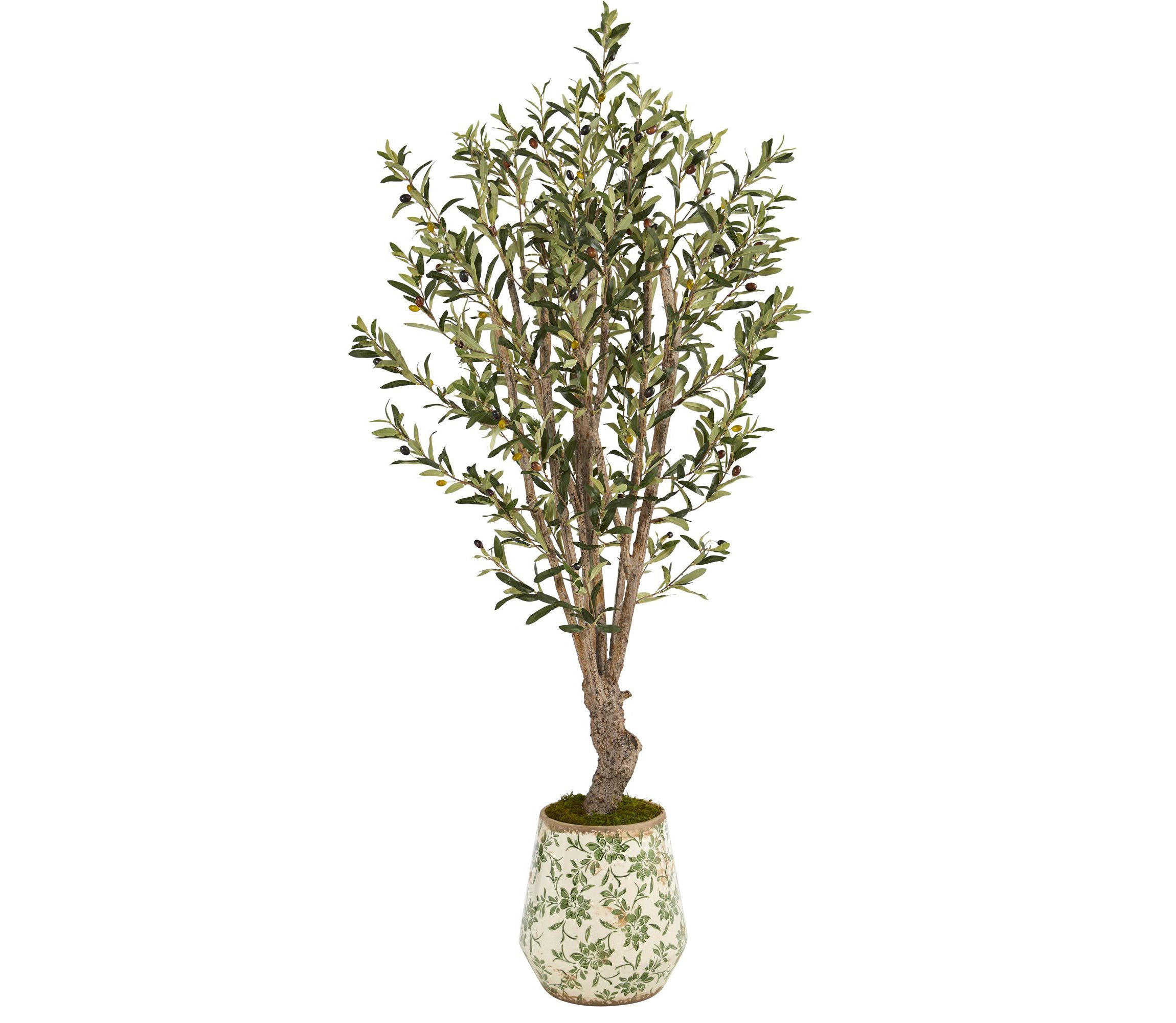 62-Inch Olive Artificial Tree in Floral Print Planter