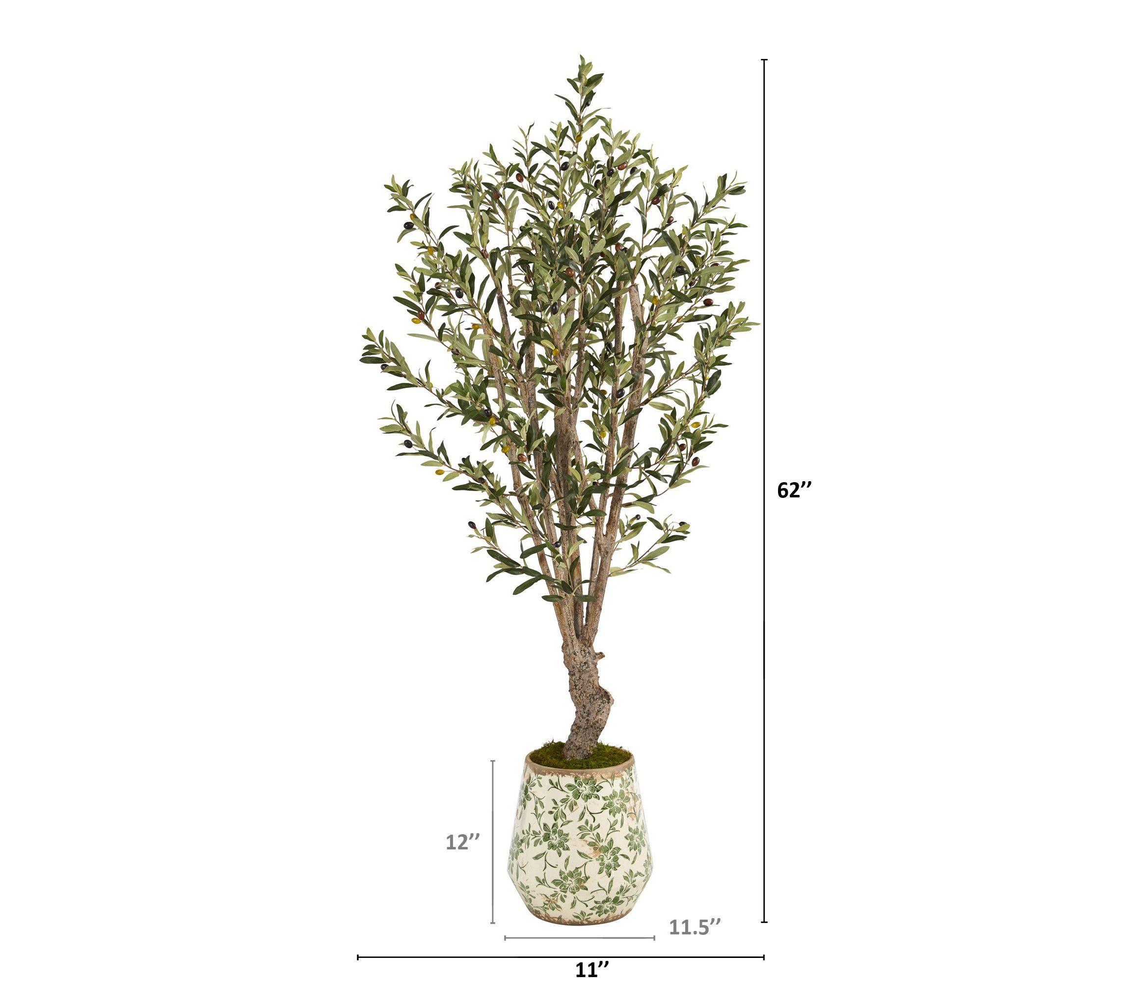 62-Inch Olive Artificial Tree in Floral Print Planter