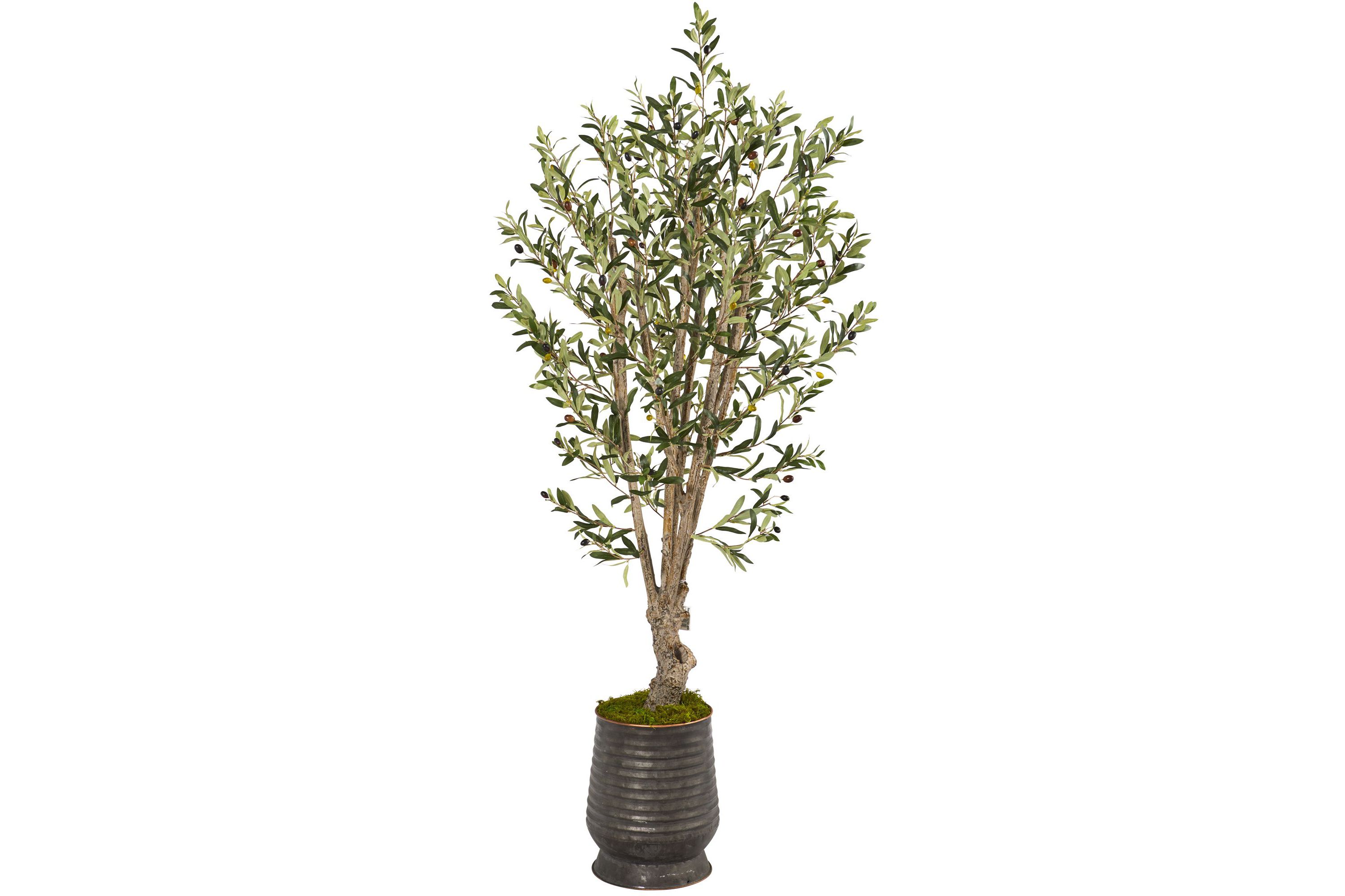 62-Inch Olive Artificial Tree in Ribbed Metal Planter