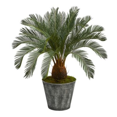 40-Inch Cycas Artificial Tree in Black Embossed Tin Planter