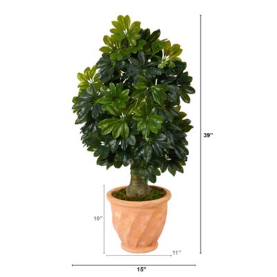 39-Inch Schefflera Artificial Tree in Terra-Cotta Planter (Real Touch)