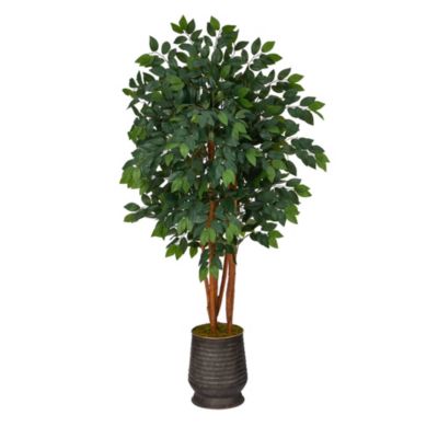 57-Inch Sakaki Artificial Tree in Ribbed Metal Planter