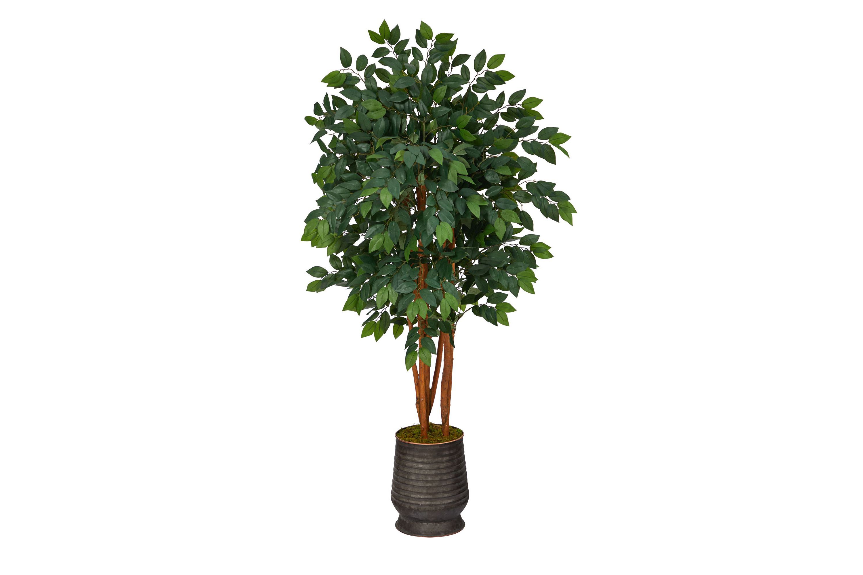 57-Inch Sakaki Artificial Tree in Ribbed Metal Planter