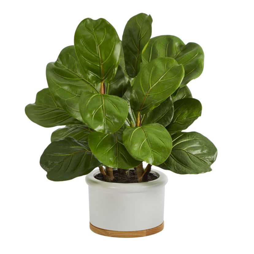15-Inch Fiddle Leaf Artificial Tree in White Planter