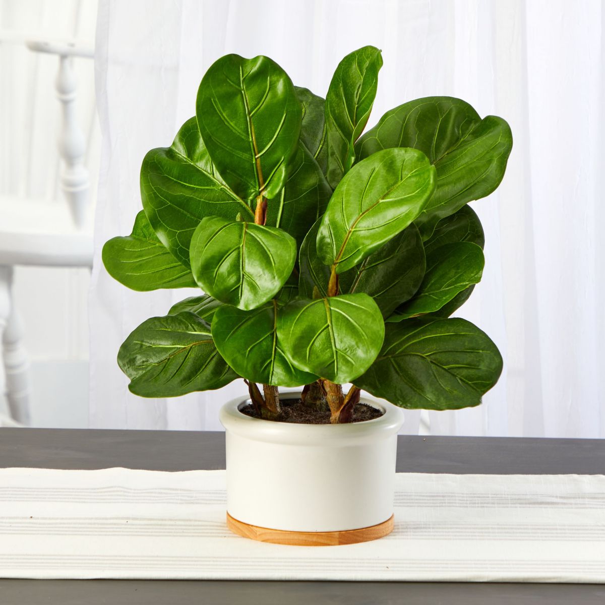 15-Inch Fiddle Leaf Artificial Tree in White Planter