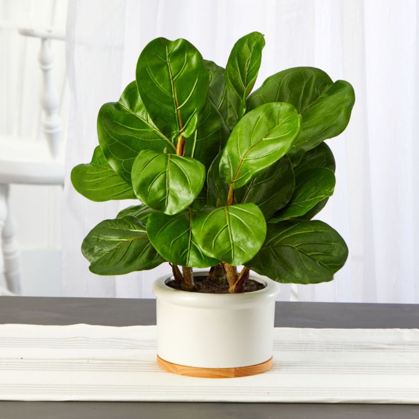 15-Inch Fiddle Leaf Artificial Tree in White Planter