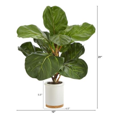 21-Inch Fiddle Leaf Artificial Tree in White Ceramic Planter