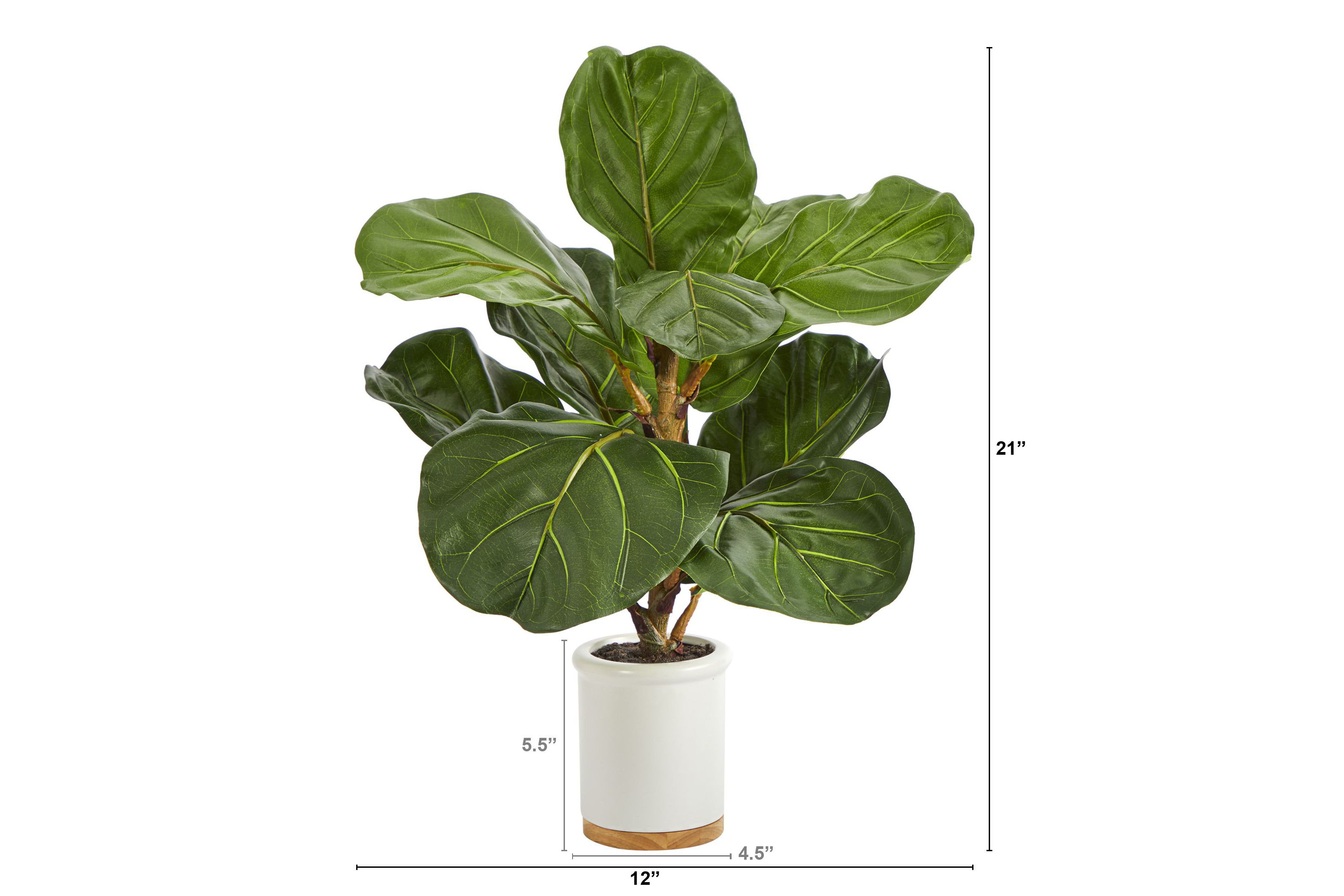 21-Inch Fiddle Leaf Artificial Tree in White Ceramic Planter
