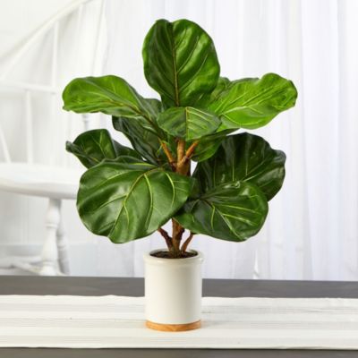 21-Inch Fiddle Leaf Artificial Tree in White Ceramic Planter