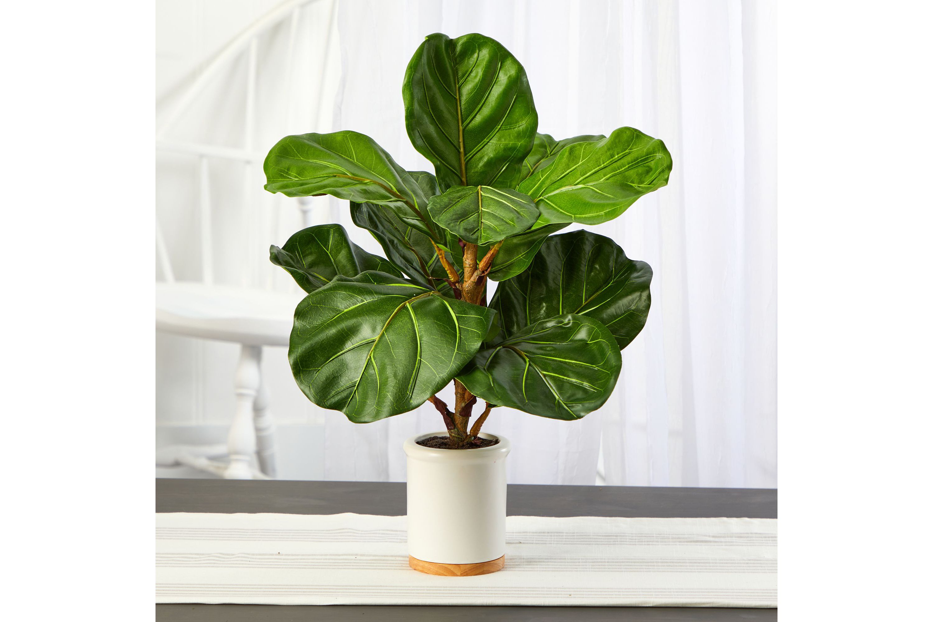 21-Inch Fiddle Leaf Artificial Tree in White Ceramic Planter