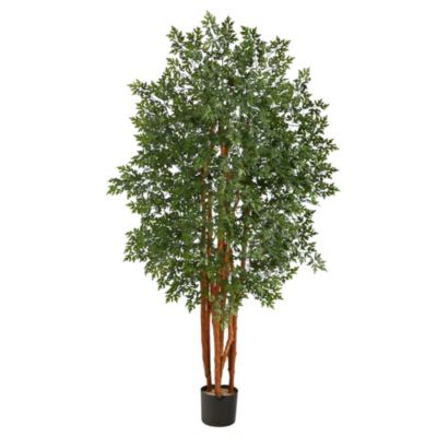 Nearly Natural 5-Foot Aralia Artificial Tree, Green