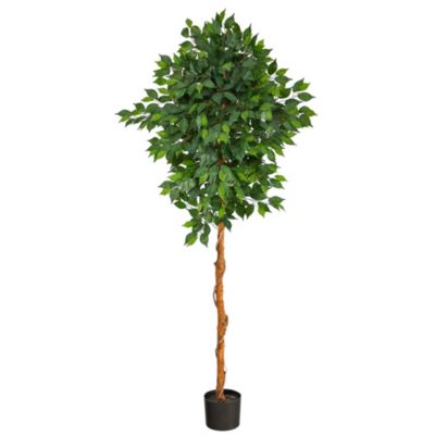 Nearly Natural 6-Foot Ficus Artificial Tree, Green
