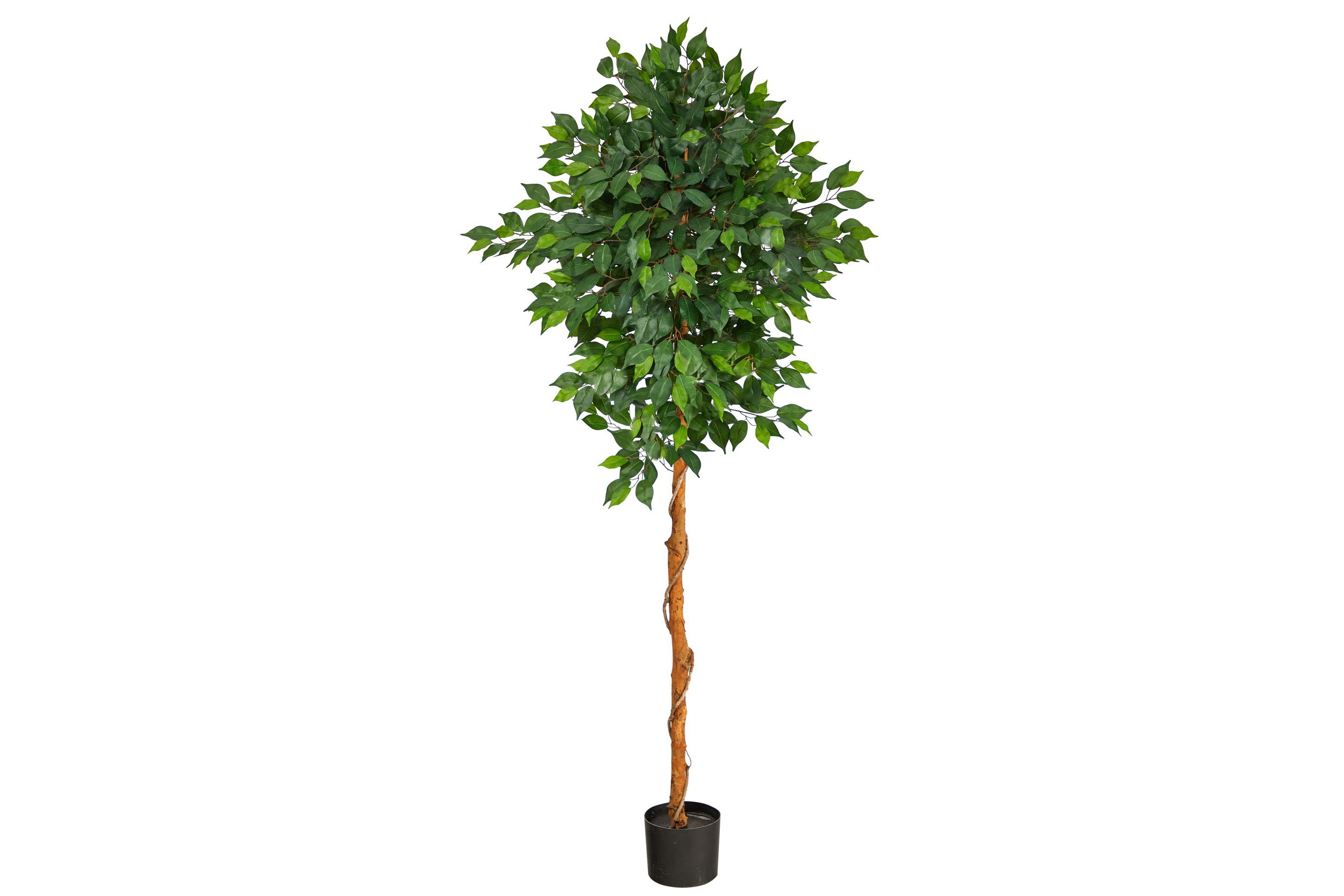 6-Foot Ficus Artificial Tree