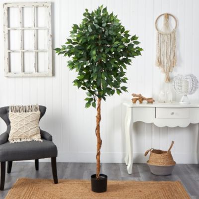 6-Foot Ficus Artificial Tree