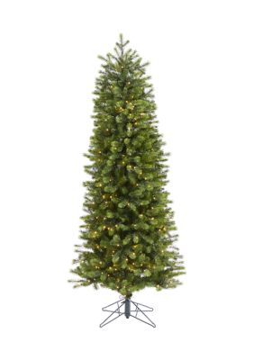 Colorado Mountain Spruce Christmas Tree