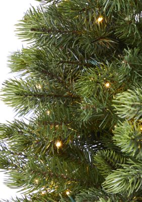 Colorado Mountain Spruce Christmas Tree