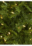 5 Foot Wisconsin Fir Artificial Christmas Tree with 250 Warm White LED Lights and 578 Bendable Branches