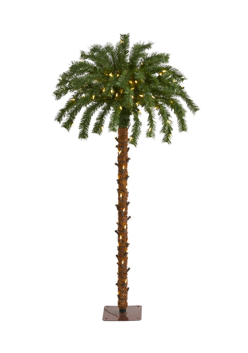 Christmas Palm Tree