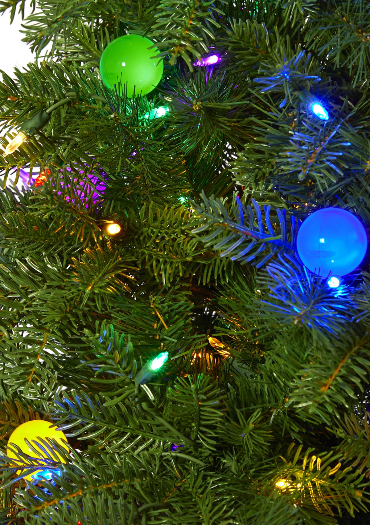 Montana Mountain Fir Christmas Tree