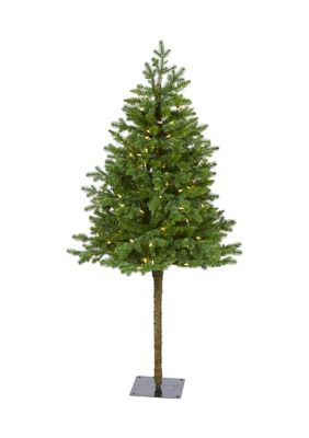 Foot Swiss Alpine Artificial Christmas Tree with Clear LED Lights and Bendable Branches