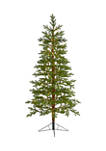 6.5 Foot Fairbanks Fir Artificial Christmas Tree with 250 Clear Warm (Multifunction) LED Lights and 208 Bendable Branches