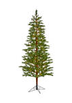 7.5 Foot Fairbanks Fir Artificial Christmas Tree with 350 Clear Warm (Multifunction) LED Lights and 280 Bendable Branches