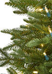 Cambridge Fir Christmas Tree