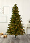 7.5 Foot Cambridge Fir Christmas Tree