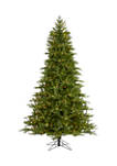7.5 Foot Cambridge Fir Christmas Tree