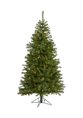 6 Foot Springfield Artificial Christmas Tree with 300 Warm Clear Lights and 596 Tips