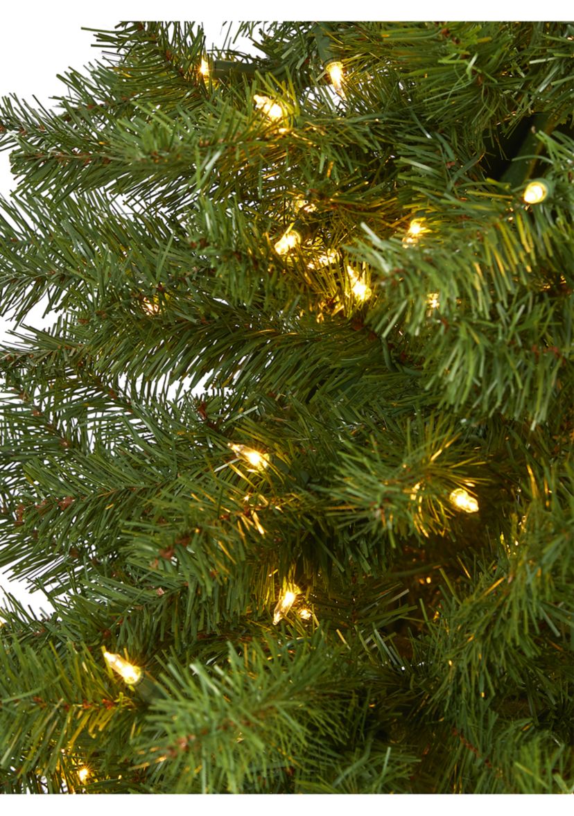 7 Foot Springfield Artificial Christmas Tree with 400 Warm Clear Lights and 916 Bendable Branches