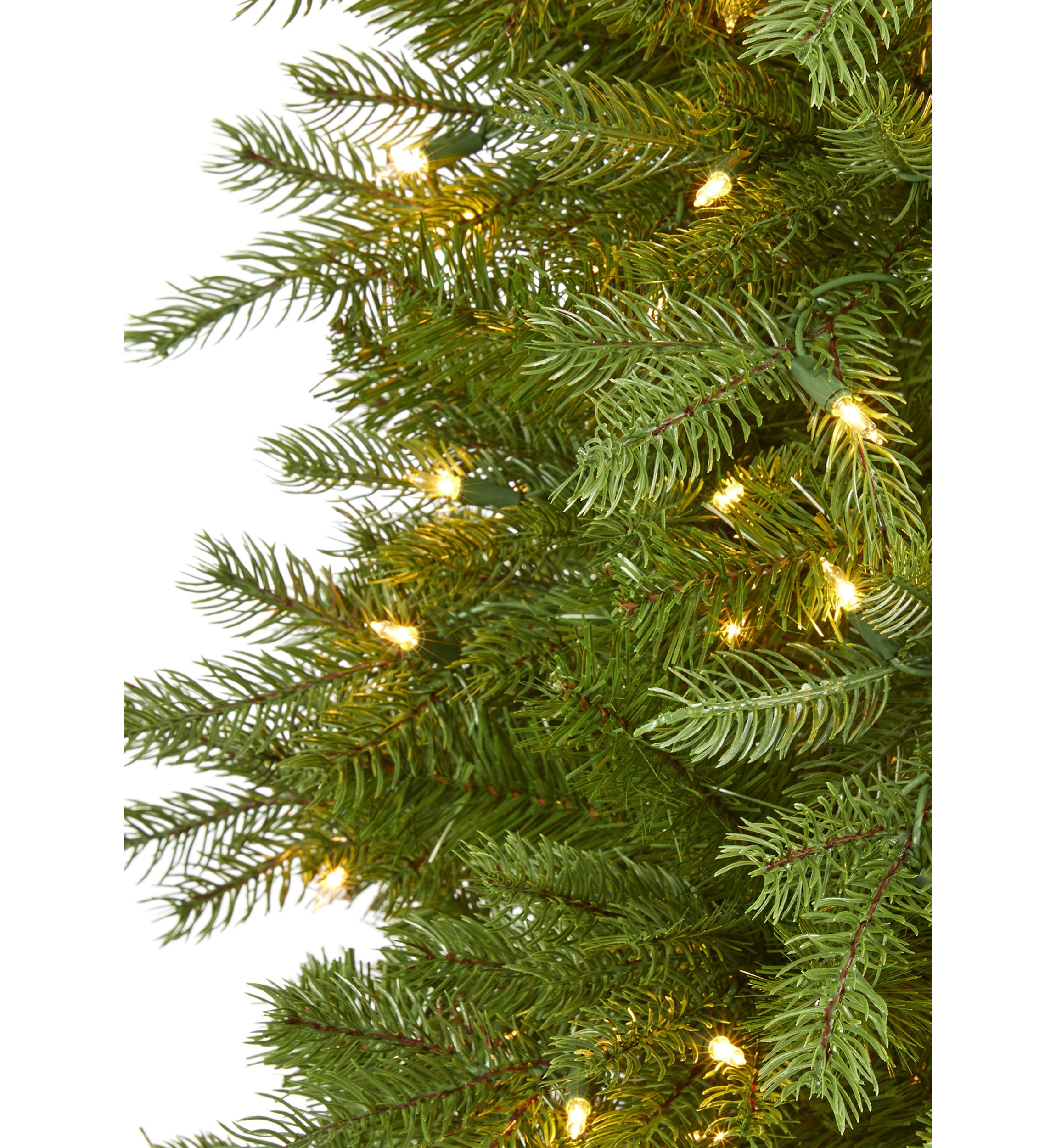Vienna Fir Christmas Tree