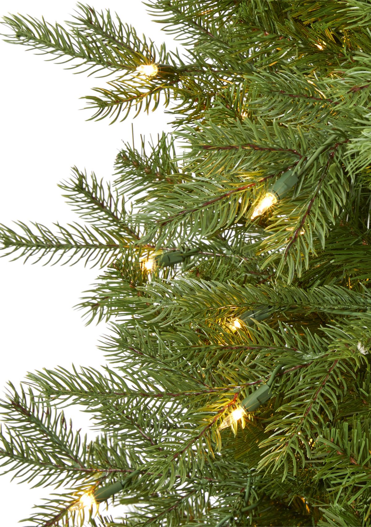 Vienna Fir Christmas Tree