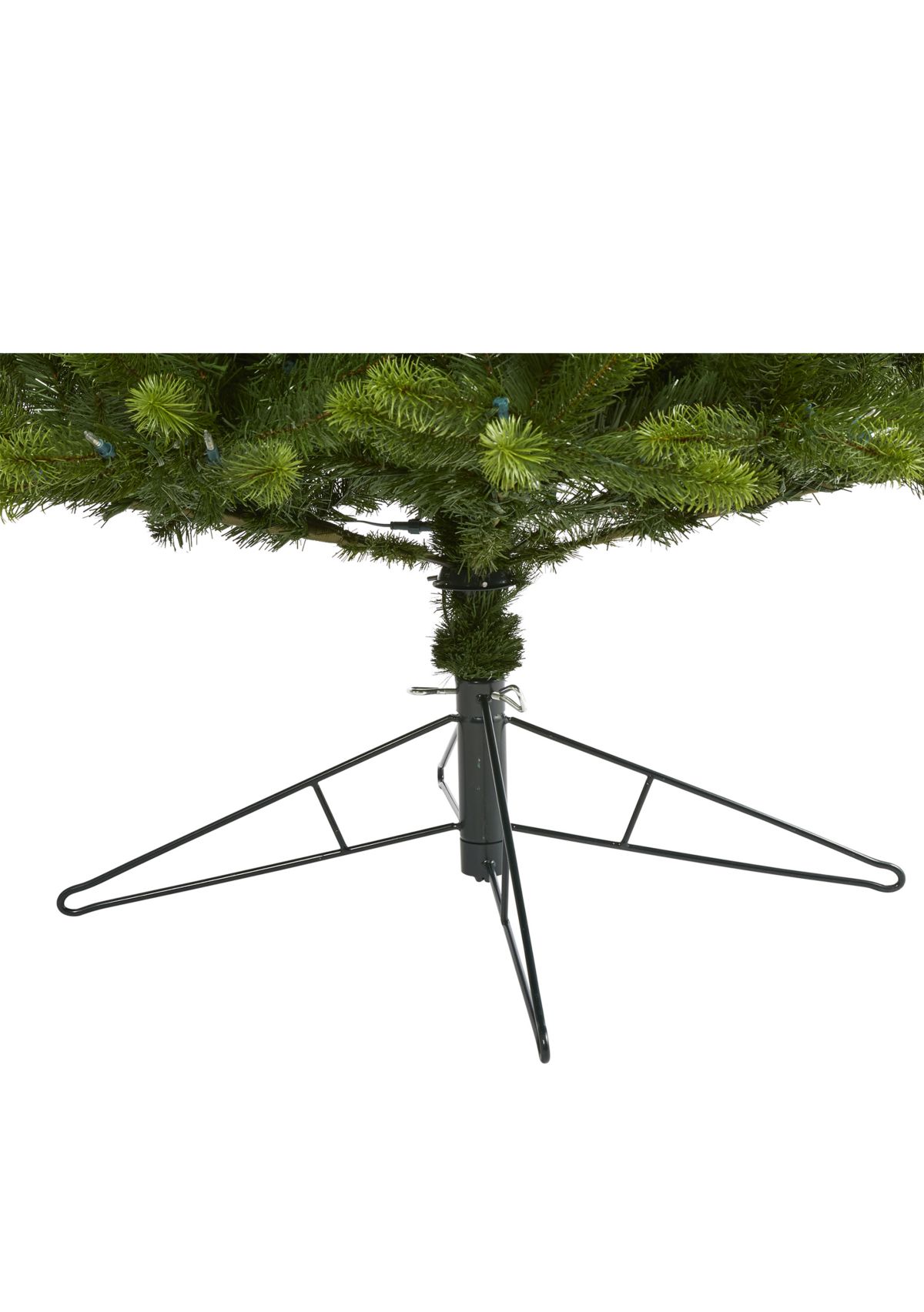 8 Foot Virginia Spruce Christmas Tree