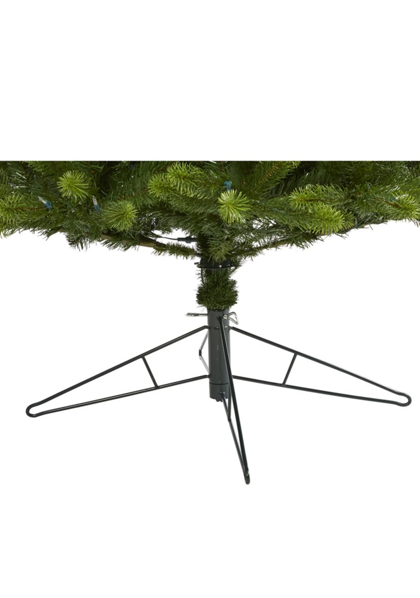 8 Foot Virginia Spruce Christmas Tree