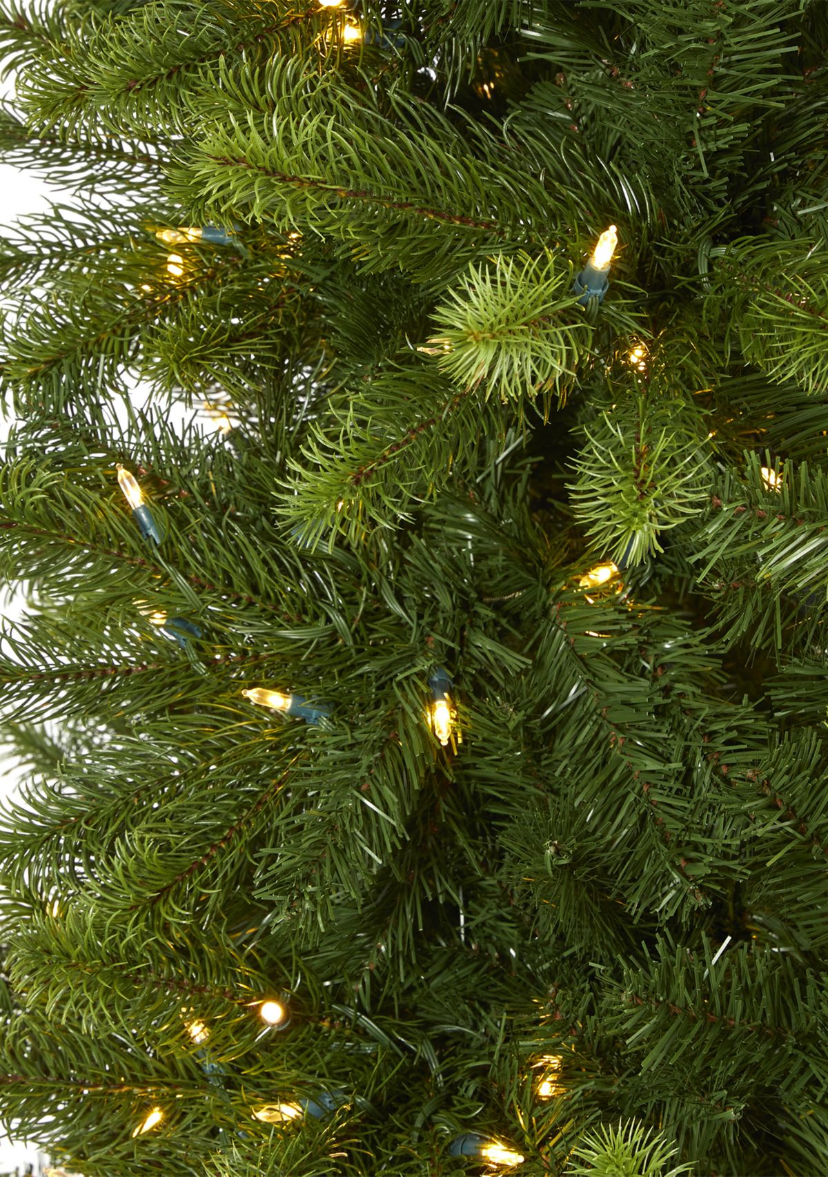 9 Foot Virginia Spruce Christmas Tree