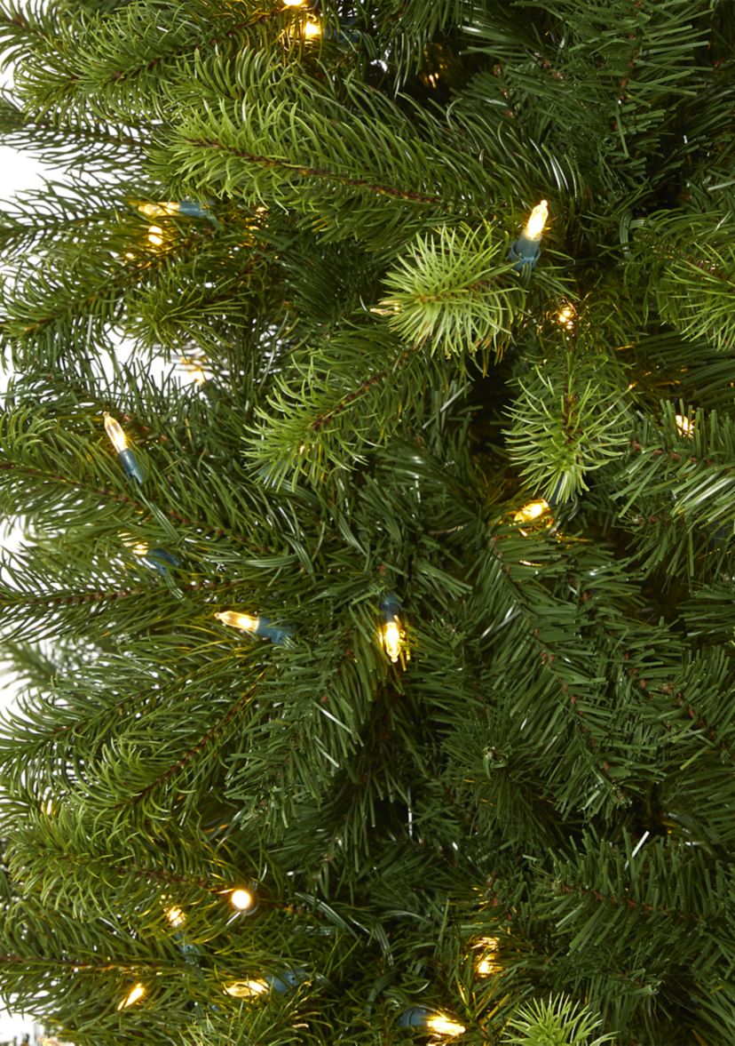 9 Foot Virginia Spruce Christmas Tree