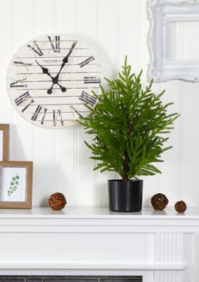 Nearly Natural 2 Foot Norfolk Island Pine Tree