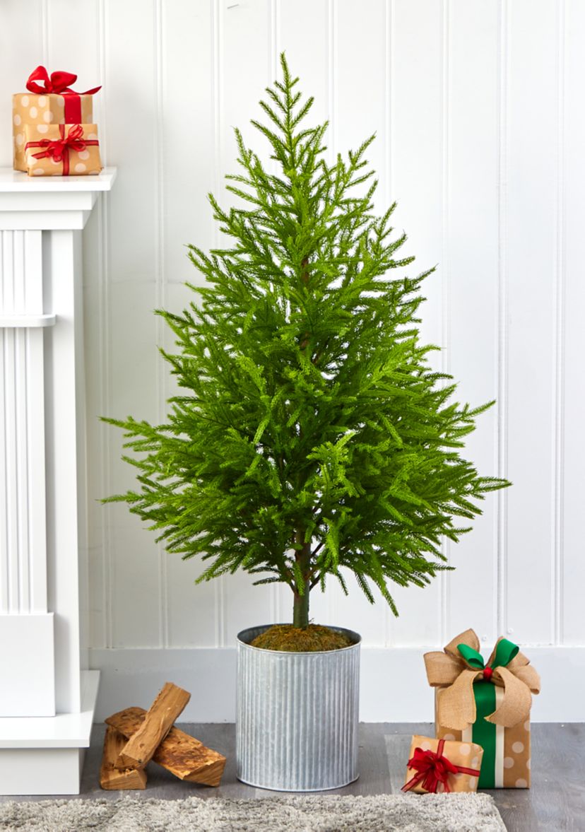 49 Inch Norfolk Island Pine Tree