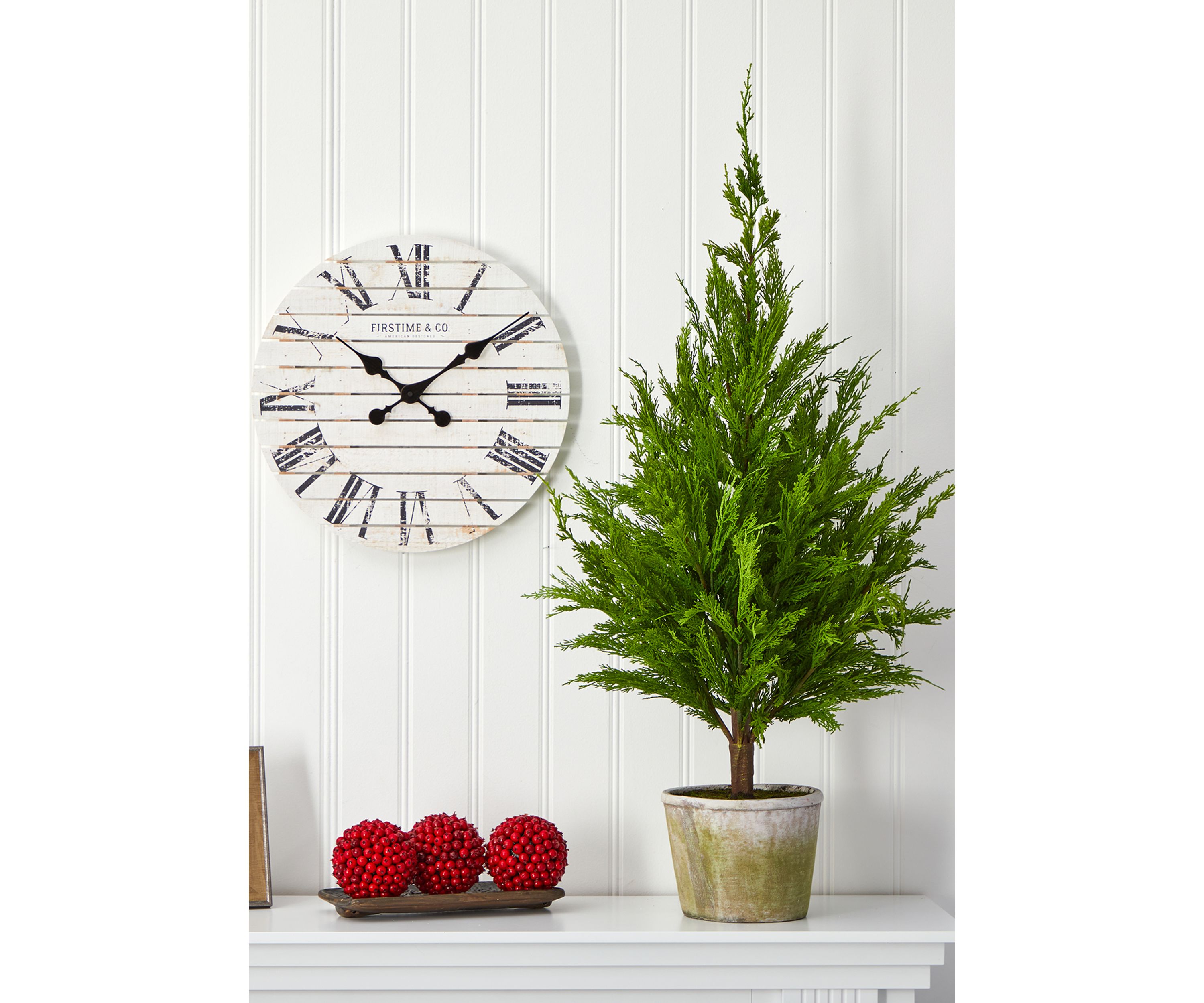 3.5 Foot Cedar Pine Tree
